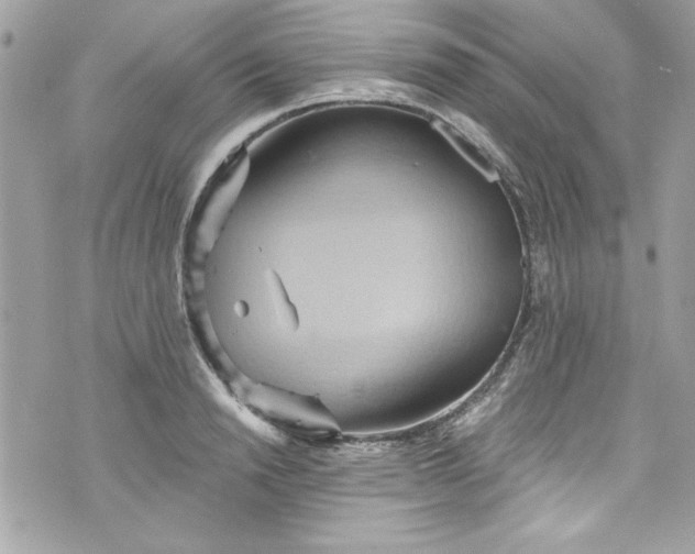 X0000075830846200609291420