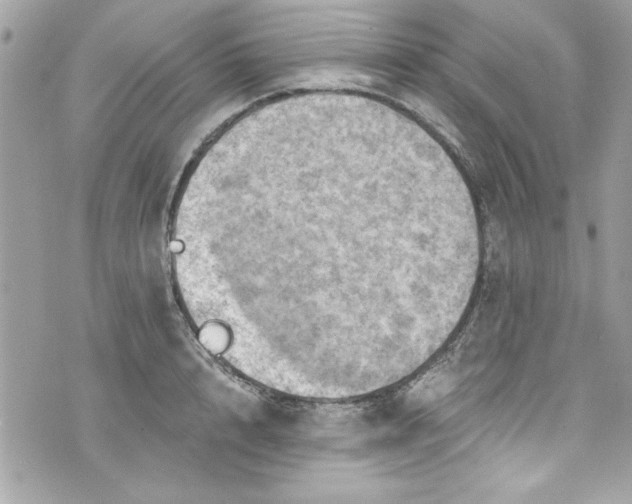 X0000075830848200609291420