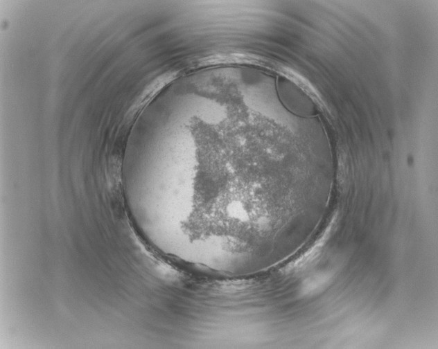 X0000075830849200609291420