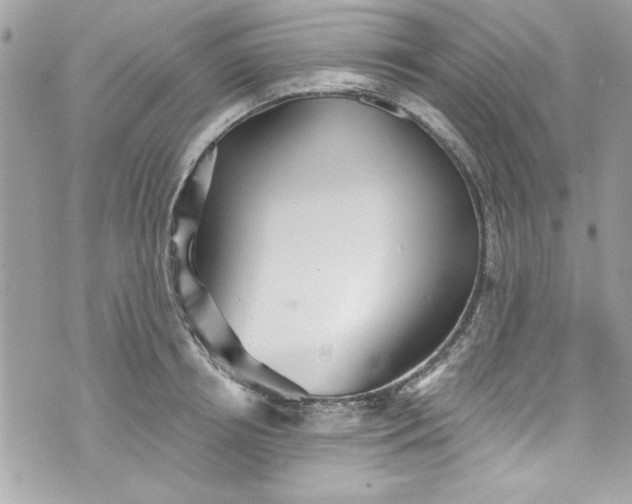 X0000075830850200609291420