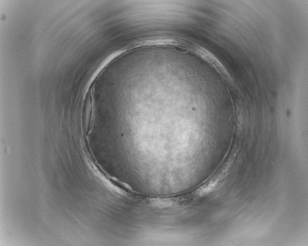 X0000075830852200609291420