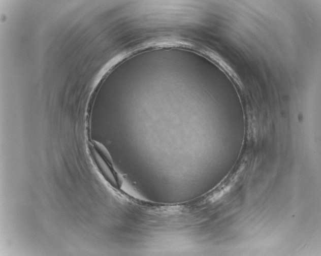 X0000075830853200609291420