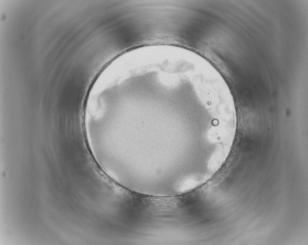 X0000075830856200609291420