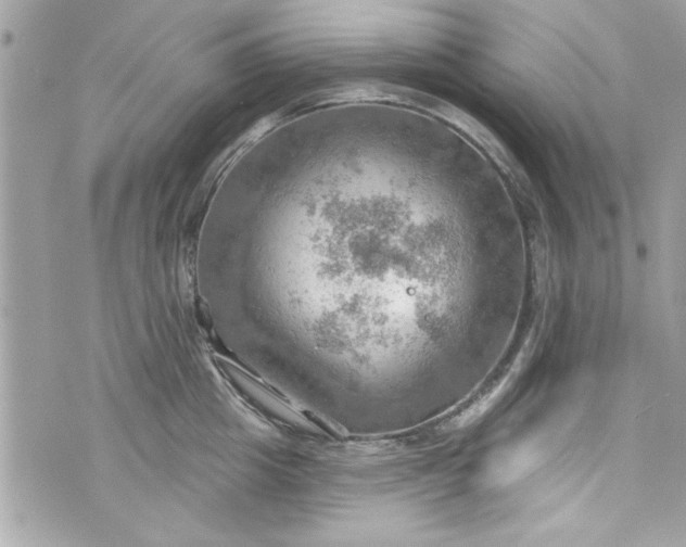 X0000075830857200609291420