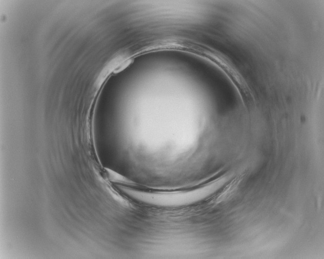 X0000075830858200609291420