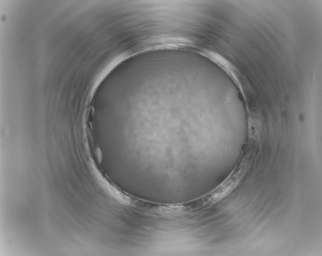 X0000075830859200609291420