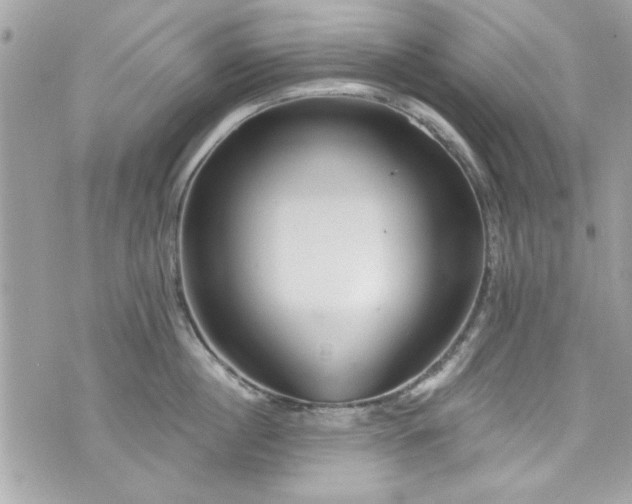 X0000075830860200609291420