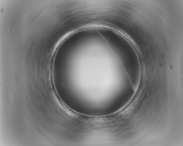 X0000075830862200609291420