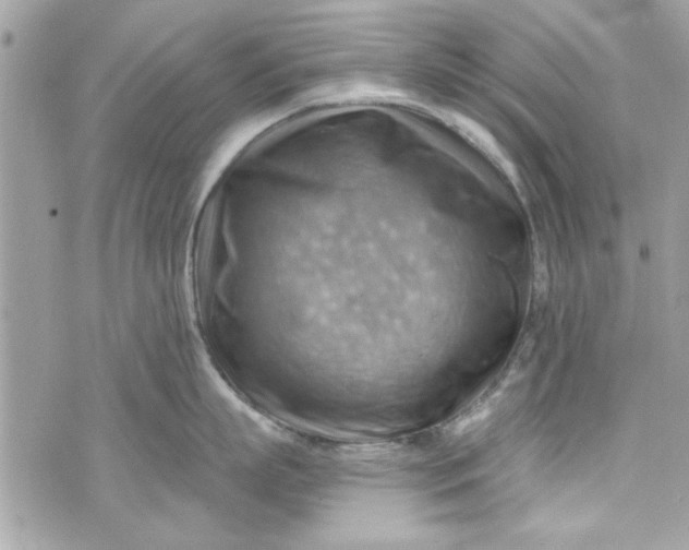 X0000075830863200609291420