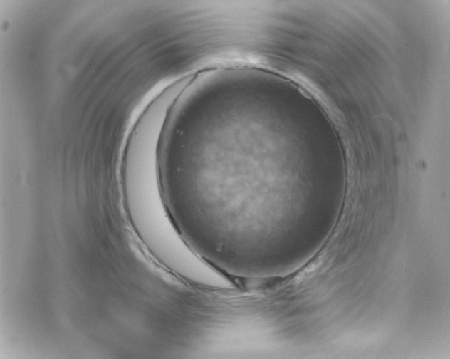 X0000075830864200609291420