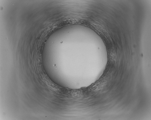 X0000075830865200609291419