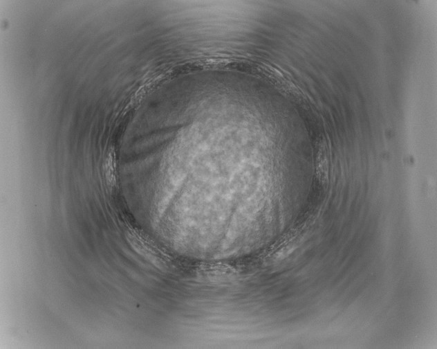 X0000075830866200609291419