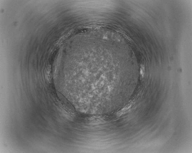 X0000075830867200609291419