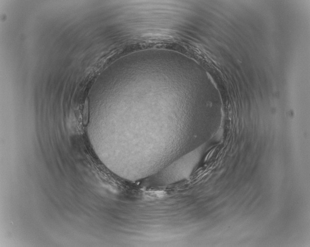 X0000075830868200609291419