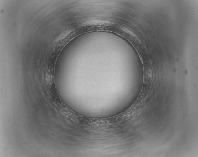 X0000075830869200609291419