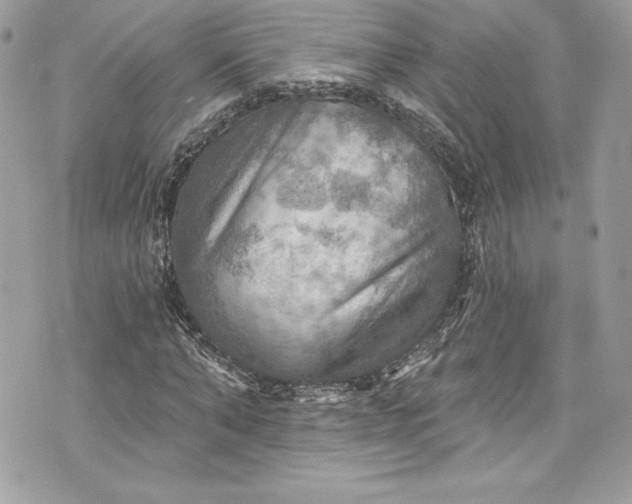 X0000075830870200609291419