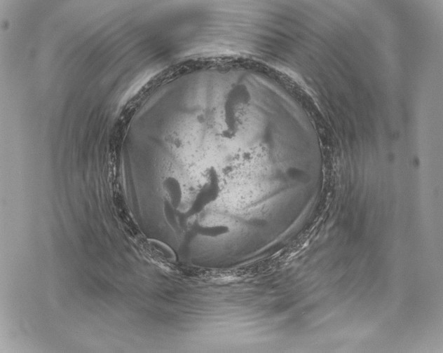 X0000075830871200609291419