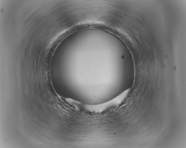 X0000075830872200609291419