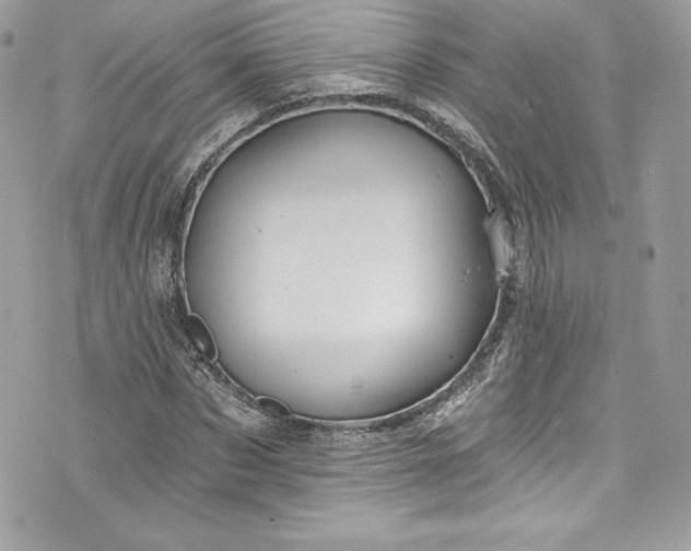 X0000075830873200609291419