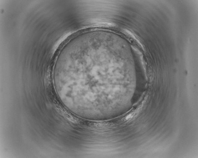 X0000075830875200609291419