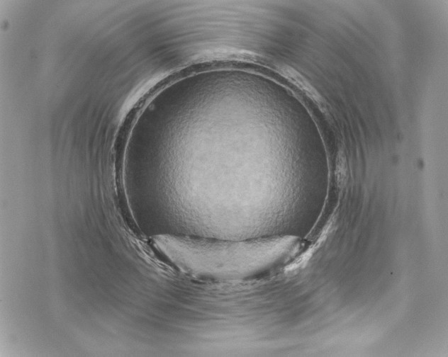 X0000075830877200609291419