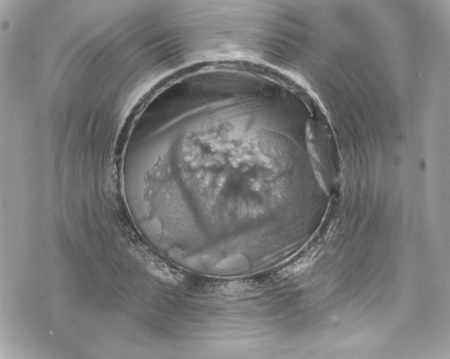 X0000075830879200609291419