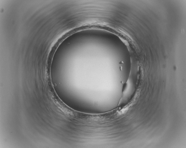 X0000075830880200609291419