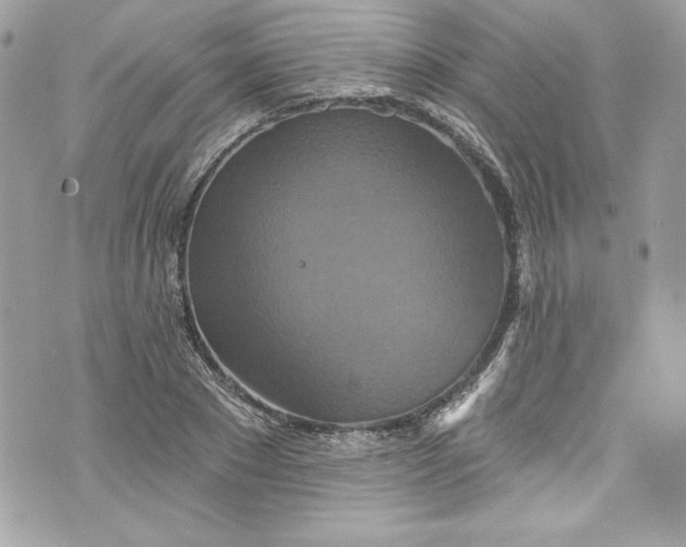 X0000075830881200609291419