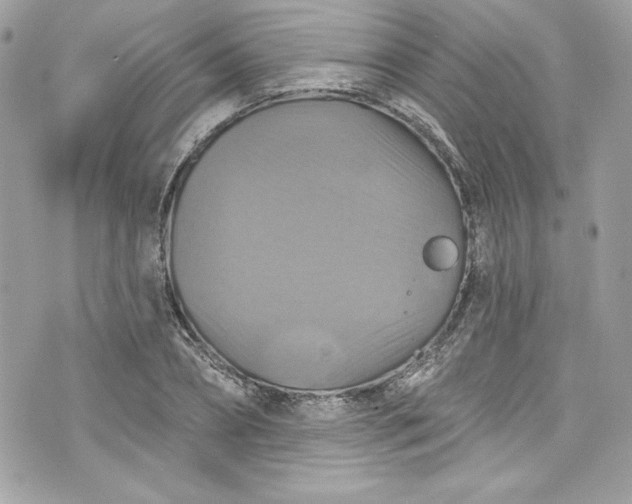 X0000075830882200609291419