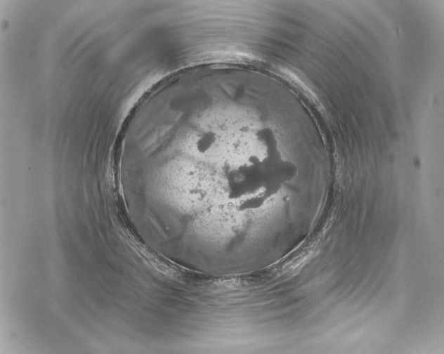 X0000075830883200609291419