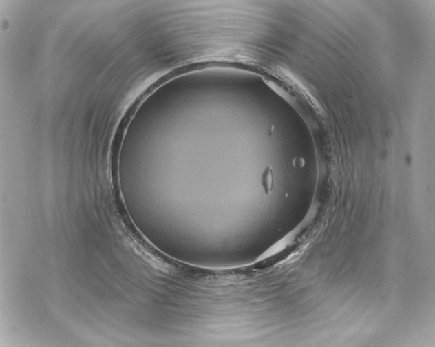 X0000075830884200609291419