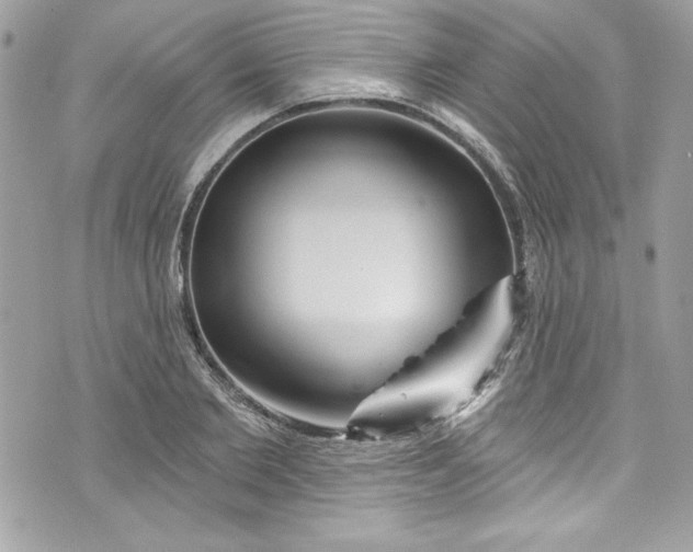 X0000075830885200609291419