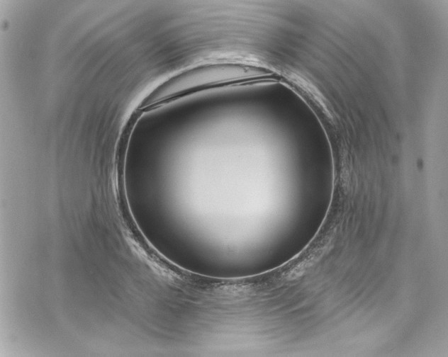 X0000075830888200609291419