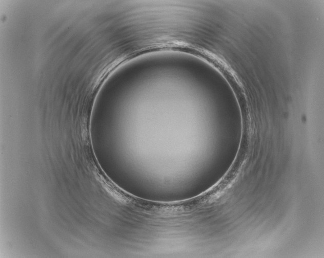 X0000075830889200609291419