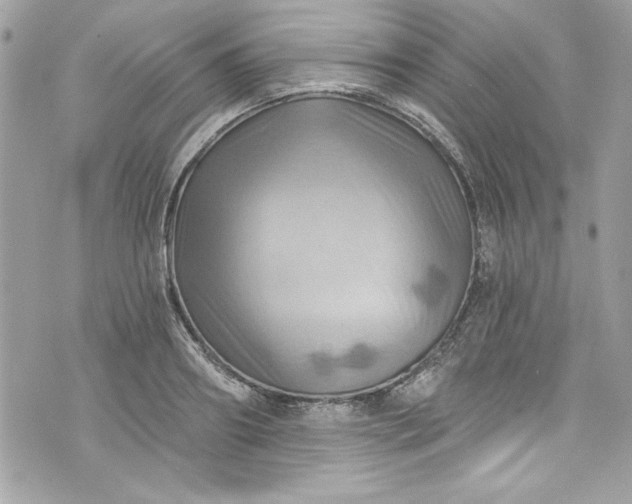 X0000075830890200609291419