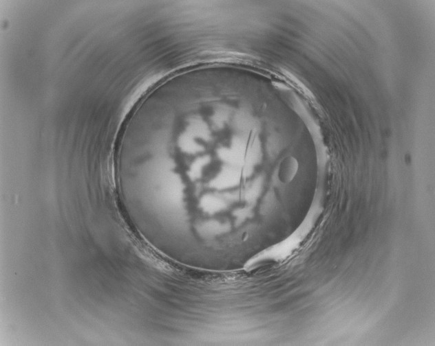 X0000075830891200609291419