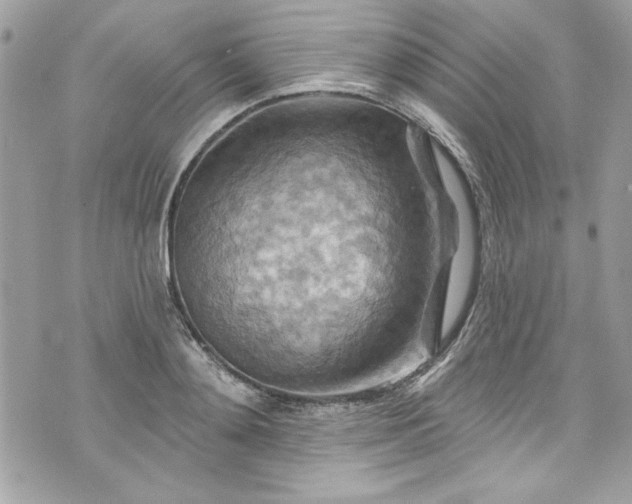 X0000075830892200609291419