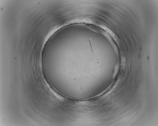 X0000075830894200609291419