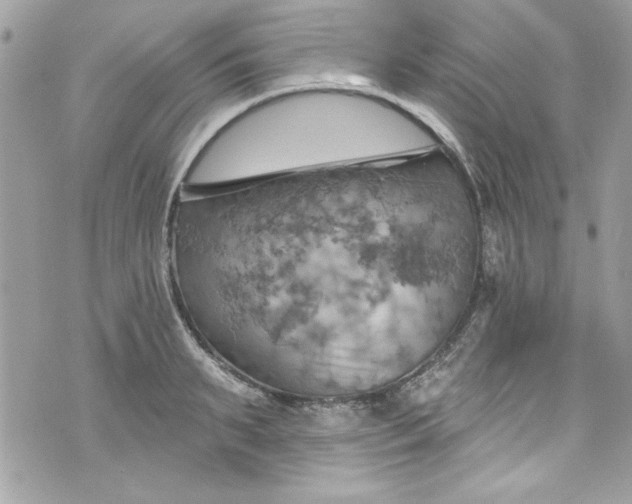 X0000075830895200609291419