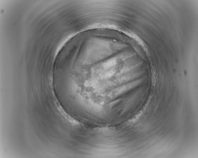 X0000075830896200609291419