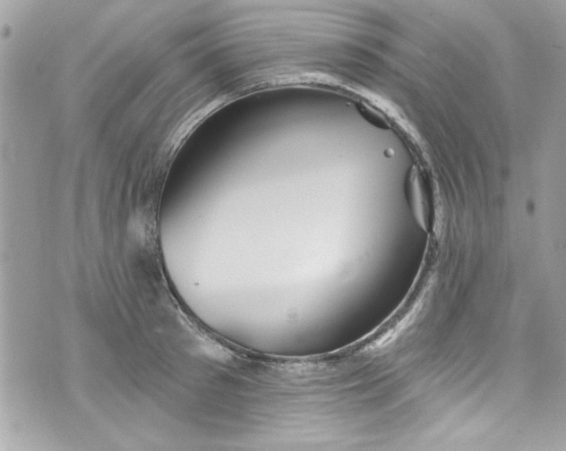 X0000075830897200609291419