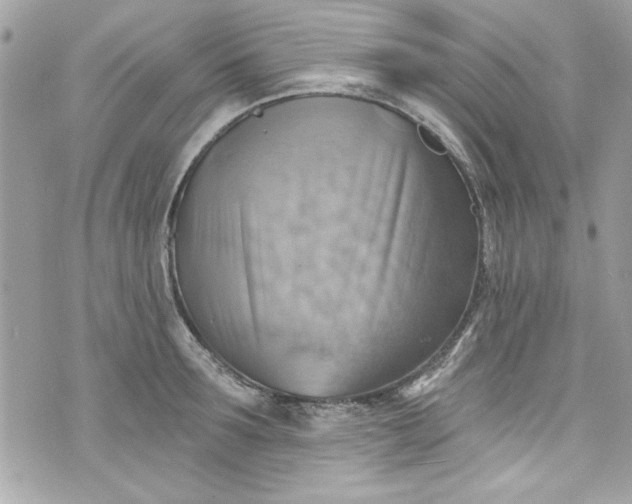 X0000075830899200609291419