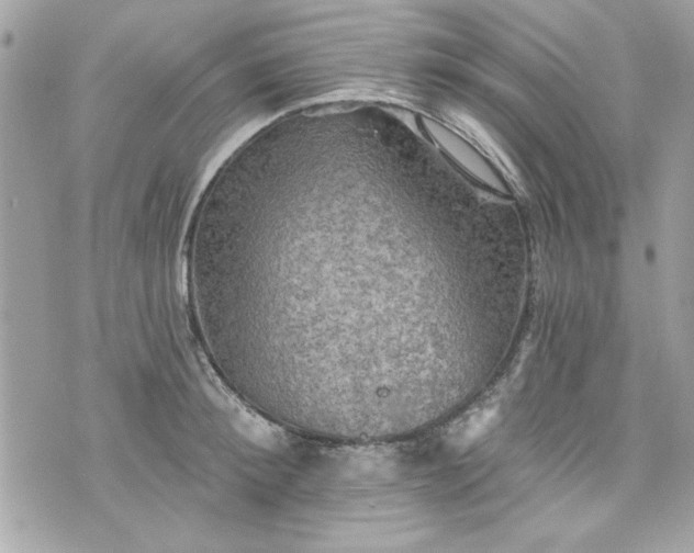 X0000075830900200609291419