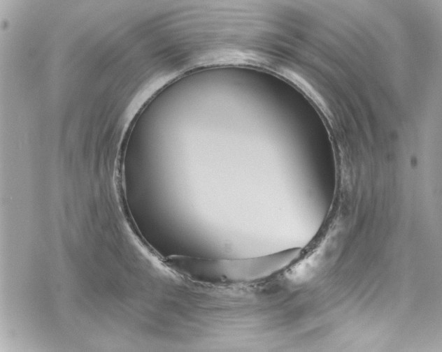 X0000075830901200609291419