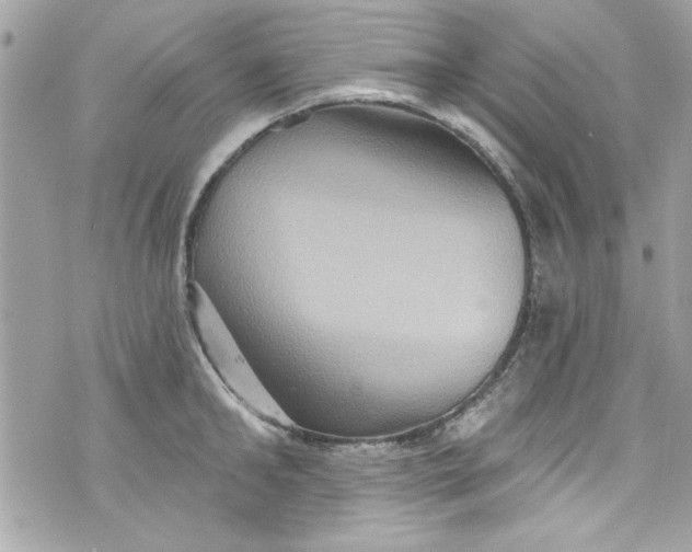 X0000075830902200609291419