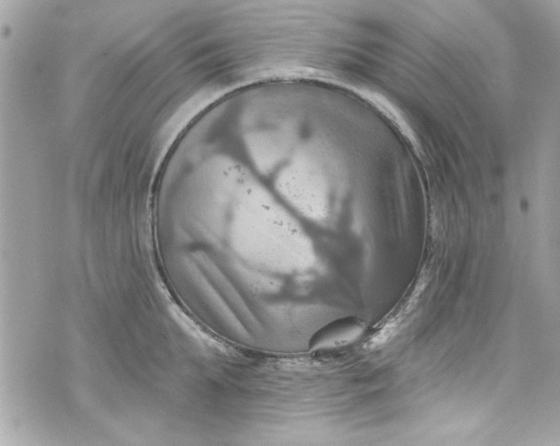 X0000075830903200609291419