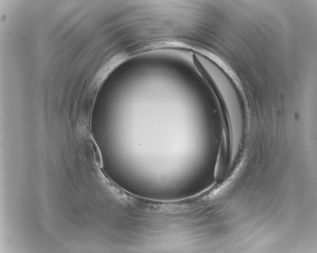 X0000075830905200609291419