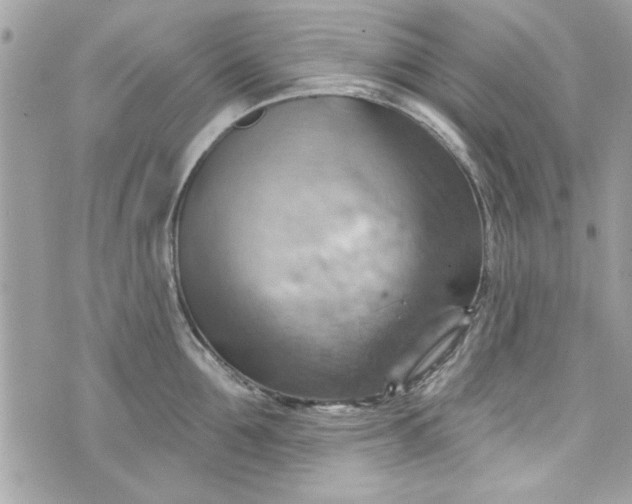 X0000075830907200609291419