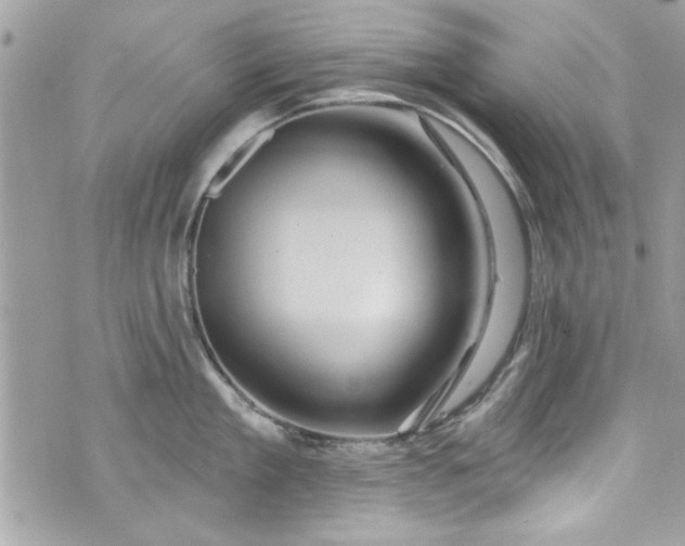 X0000075830909200609291419