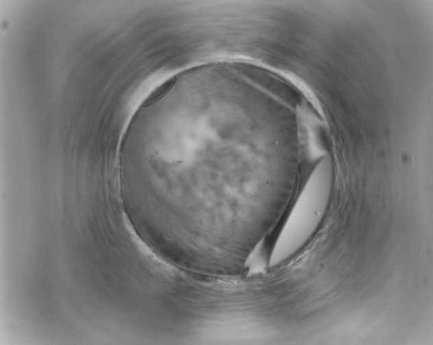 X0000075830911200609291419